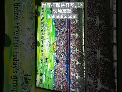 年日本足球,回顾,德国客场惨,太阳城,太阳城娱乐,太阳城app,太阳城赌场