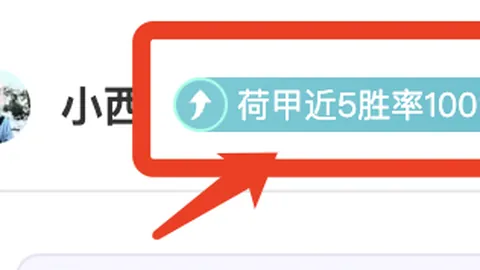 索斯盖特谈：众多年轻男性闭关自守，沉迷游戏与色情等负面替代活动